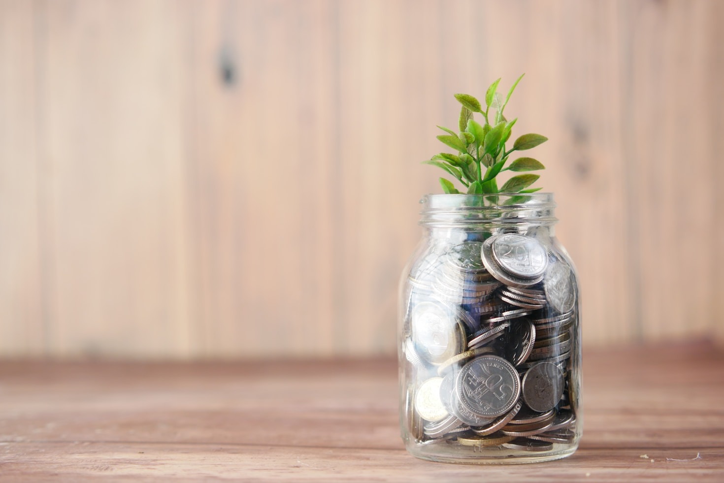 Strategies to Propel Your Business to Success